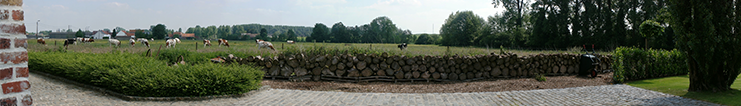 Panorama champêtre